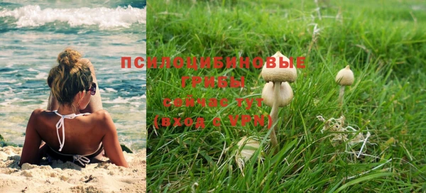 винт Арсеньев