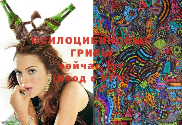 тгк Армянск