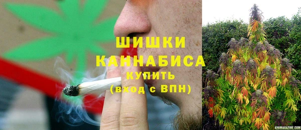 винт Арсеньев