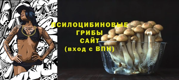 винт Арсеньев