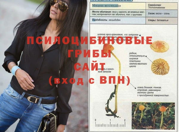 винт Арсеньев