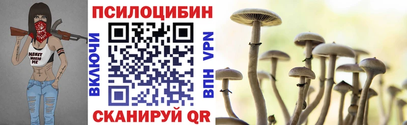 дарнет шоп Аша гидра маркетплейс Псилоцибиновые грибы мухоморы