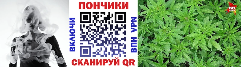 Бошки марихуана марихуана  Аша 